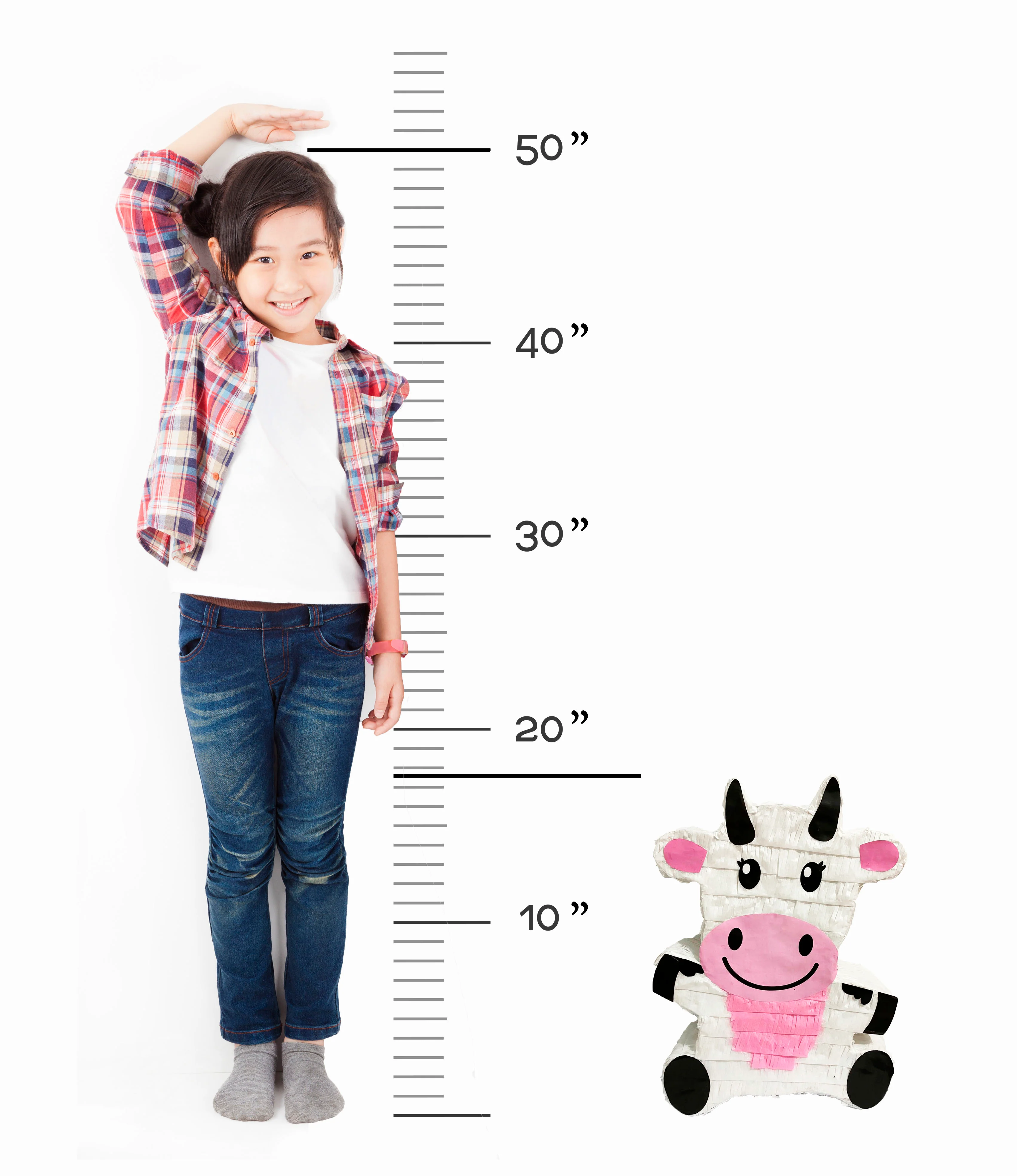 Cow Pinata - Image 3