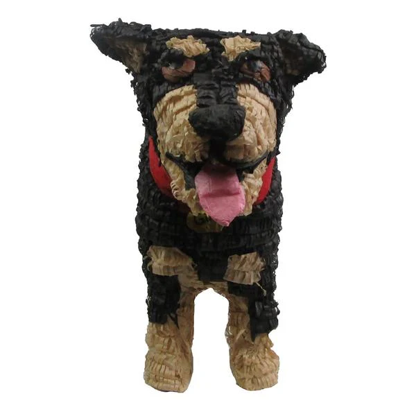 Custom Dog Pinata - Image 13