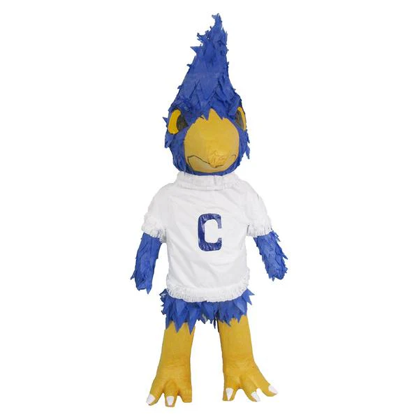 Custom Sports Team Mascot Pinata - Image 11