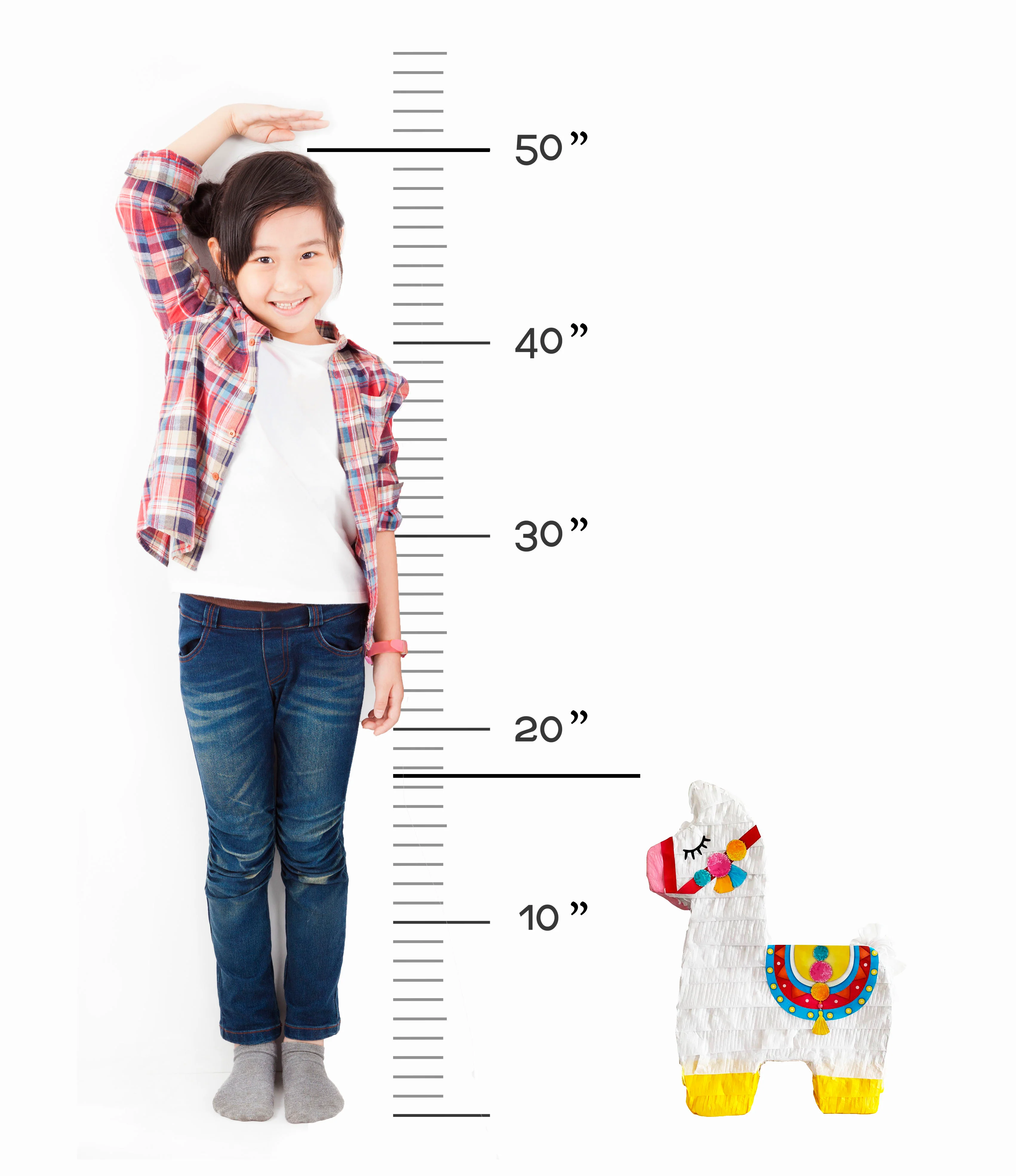 Llama Pinata - Image 7